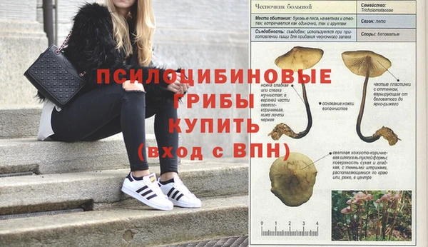 каннабис Навашино