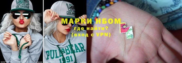 гидра Надым