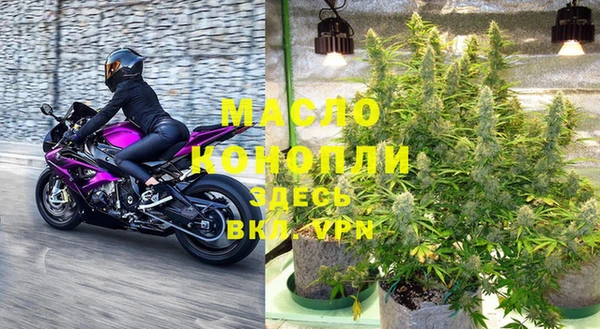 гидра Надым