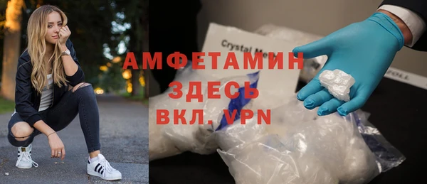 гидра Надым
