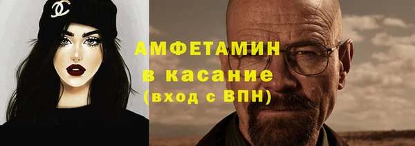гидра Надым