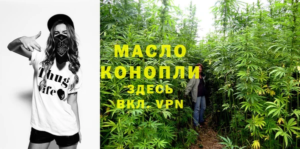 гидра Надым