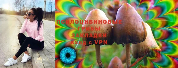гидра Надым