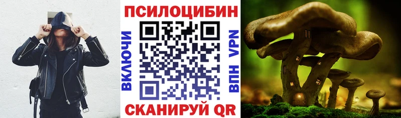 где продают наркотики  Новоузенск  Галлюциногенные грибы ЛСД 