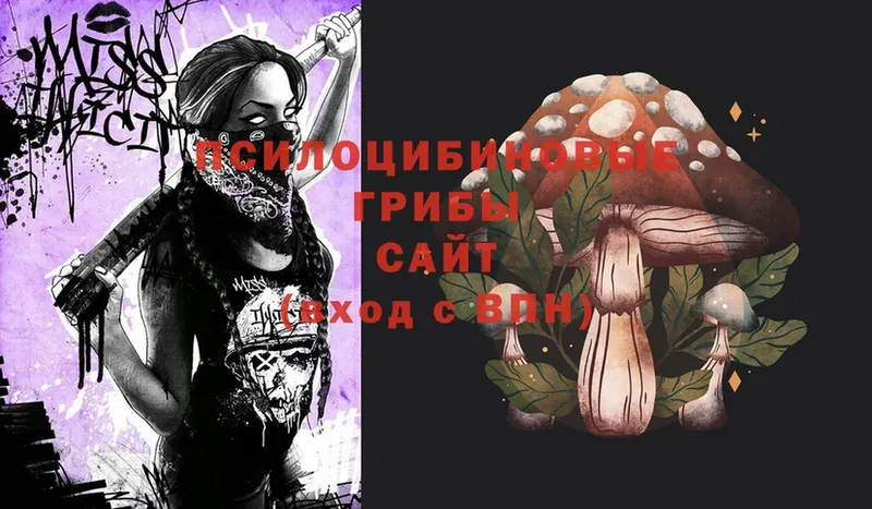 Галлюциногенные грибы Magic Shrooms  Новоузенск 